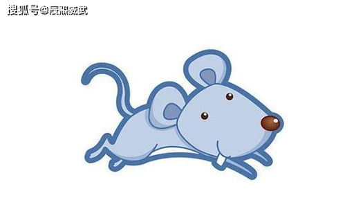 属鼠白羊座2026年运势如何？属鼠人2026年运势及运程详解是什么？