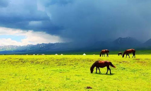 案例二：虚假宣传的“网红打卡地”——滤镜碎了一地