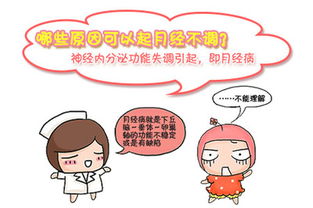 1. 内分泌失调：身体里的“较大管家”乱了套