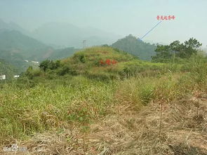 二、 多角证穴法的运用与实践