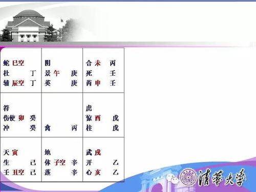 案例分析与实证验证
