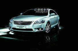 （三）出行平安与车辆采购双重维度的综合考量