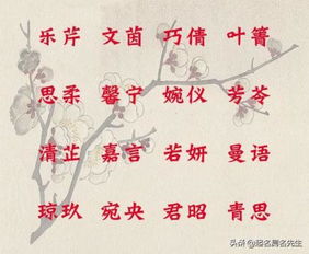 从《诗经》里淘灵感：避开烂巨大街的款