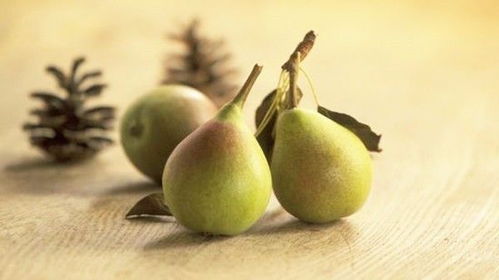 2.1 润肺止咳：针对秋燥天气的精准调理