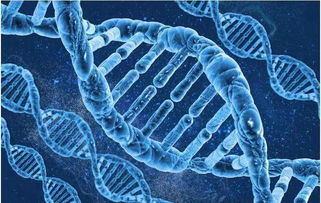 一、 生活方式与环境因素对眉间竖纹形成的促进作用