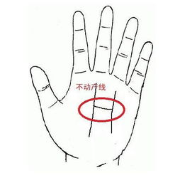 一、 拇指关节处之财富纹理解析