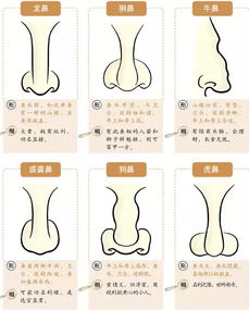 努力与智慧在实现财富有自主中的作用