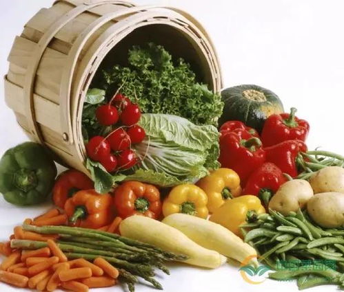 补土以克制过盛之水