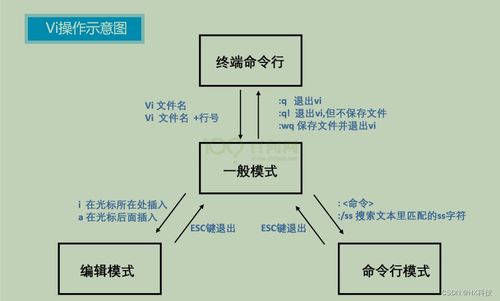 三、 系统学习路径：从基础认知到高级实战