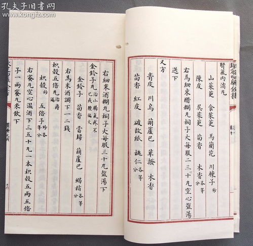 文本结构概览