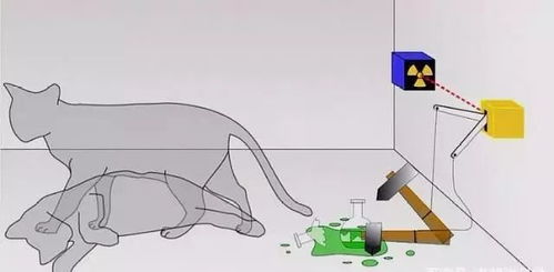 量子生物学检测