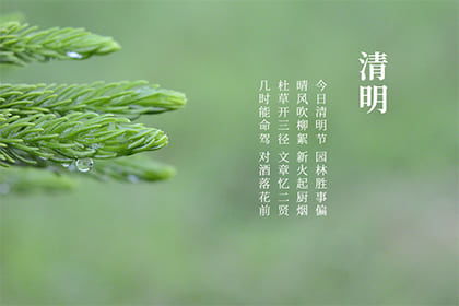 如何查询上坟的最佳吉日时间？