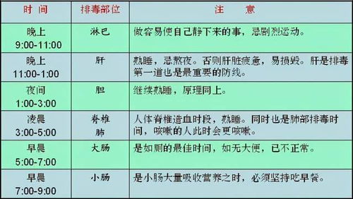 ：寿命差异之文化底蕴与命理的交叉视角