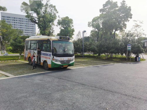 中间站：迷失在森林与峡谷之间