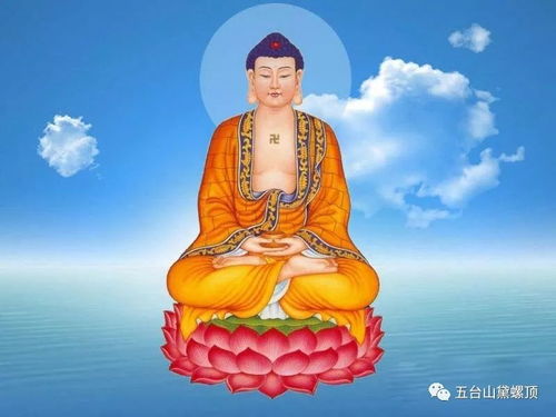 如何查询释迦牟尼佛祖灵签中的第100签内容？