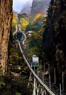 西海大峡谷 腿抖神器!