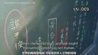 第一印象