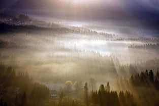 晨曦：初升的阳光（其实也挺普通的）