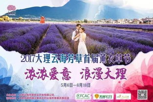 门票优惠的真实相：698元值不值？案例告诉你答案