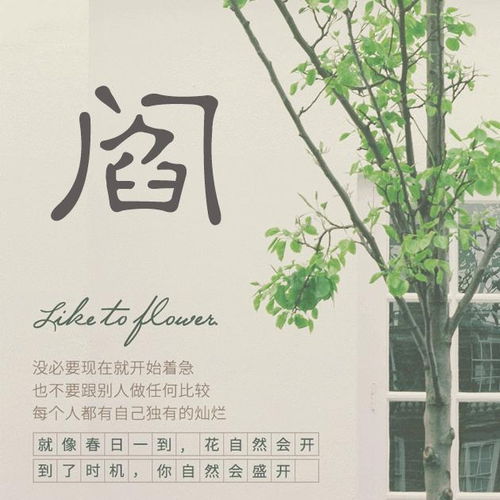 先说说那些“传统”的招财名