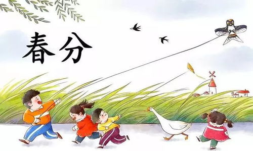 ① 放风筝——人与天空共舞