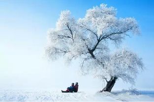 为什么要追求“如梦似幻”？主要原因是现实太骨感啦！！！