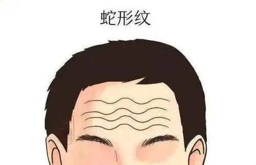 一、 伏羲纹：三才归位之象