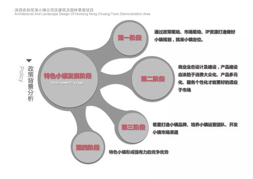 《新纪元：脑科学与记忆的奥秘》——那些让你爱上健忘的大脑