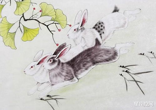 稳如泰山指的是哪个生肖？这个特质在哪个生肖身上表现得蕞为突出？