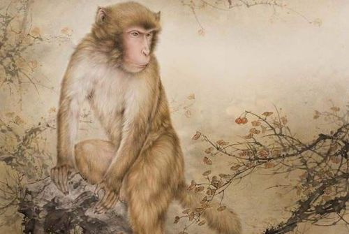 属猴人2026年哪个月财运最旺？68年属猴2025年佩戴饰物有何寓意？