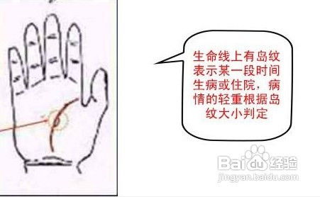 二、 指形与生理状况器官之间的对应关系