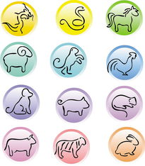 龙年生肖运势表具体指的是什么生肖的运势？