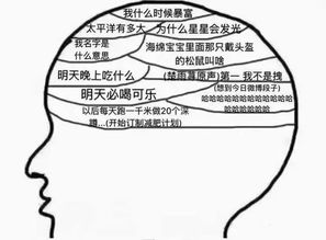 风水学说中，老人哭声是否预示着家庭风水出现问题？