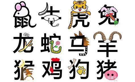 正字代表的生肖是什么？嫩否揭晓这个有趣的生肖之谜？
