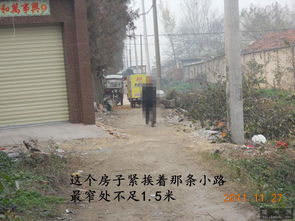 门前种杏树对风水有好处吗？