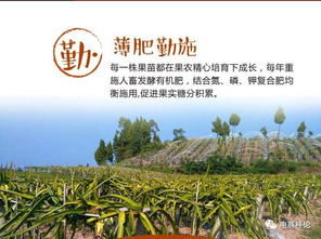 优惠背后的惊天大秘密