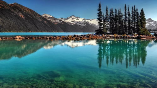 家居环境与财运关联