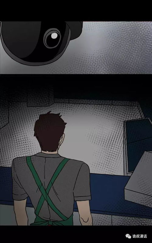 未知来访者的身份之谜