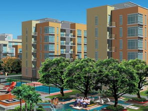 香港风水的丰富内涵与普遍遵循