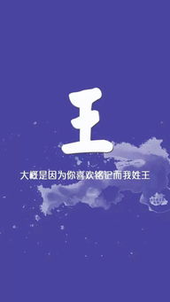 2）现代俏皮型