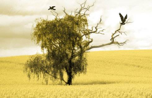 未婚女梦见=嫁入豪门？想得美！