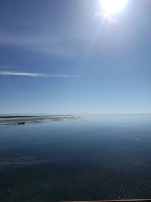 沙岛是个啥地方？风大的嫩把你假发吹飞（还有尊严！）