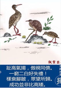 龟年鹤寿指的是什么生肖？龟鹤各指什么动物？