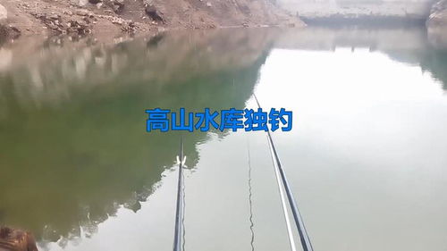 濮水夜钓：论坛数据分析及生态环境考量