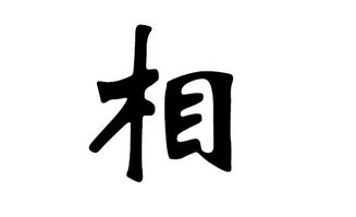先说说毛家和曾家到底有啥共性啊？