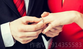 四、 案例解析：从实战经验中汲取洞见