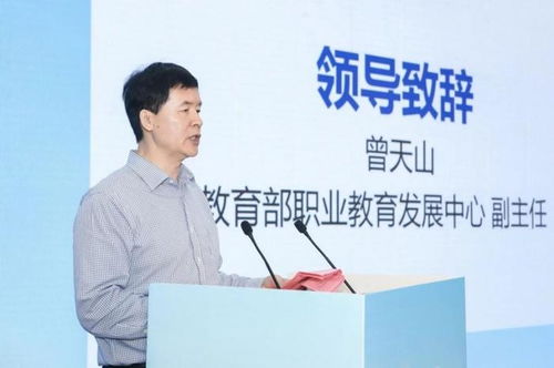 五、 平衡策略及学术性提议