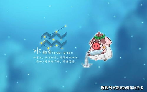 金牛座与水瓶座结合是否合适，水瓶座为何偏爱金牛座？