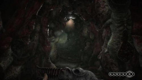 三、 心理学层面的因果链条构建