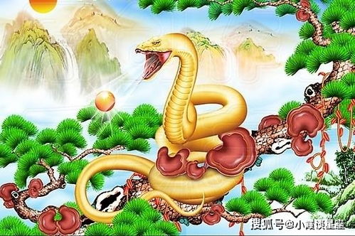 01年属蛇男与03年属羊女婚姻配对有何特点？